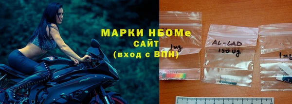 a pvp Бородино
