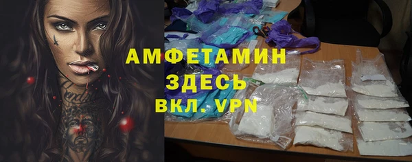 a pvp Бородино