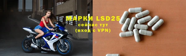 a pvp Бородино
