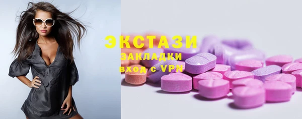a pvp Бородино