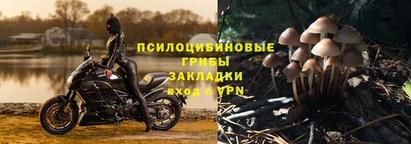 бошки Бугульма