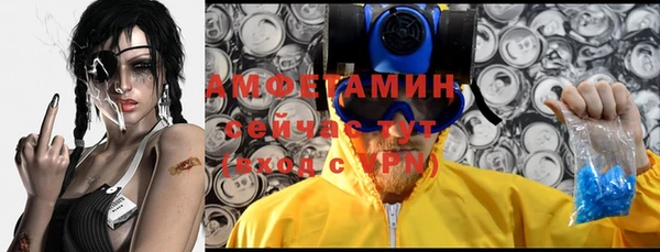 a pvp Бородино